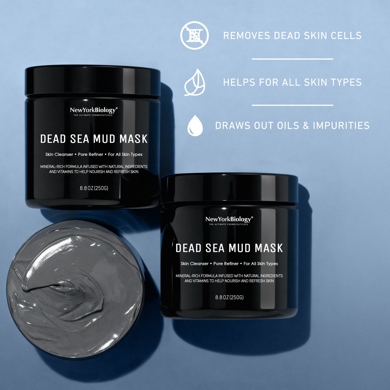 Dead Sea Mud Mask 8.8 oz