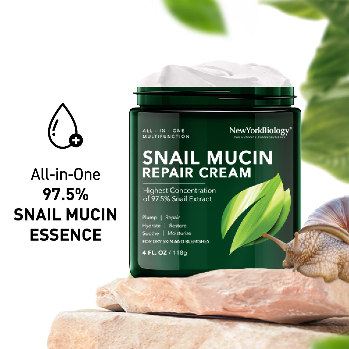 Snail Mucin Moisturizer Face Cream 4 Fl. oz