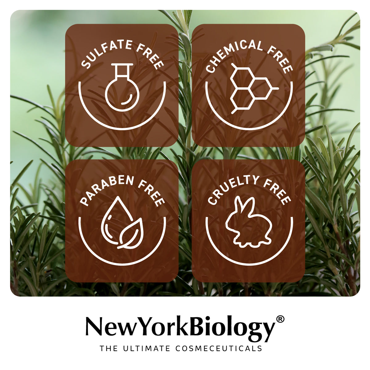 Biotin Conditioner for Hair Growth and Thinning Hair 16 oz