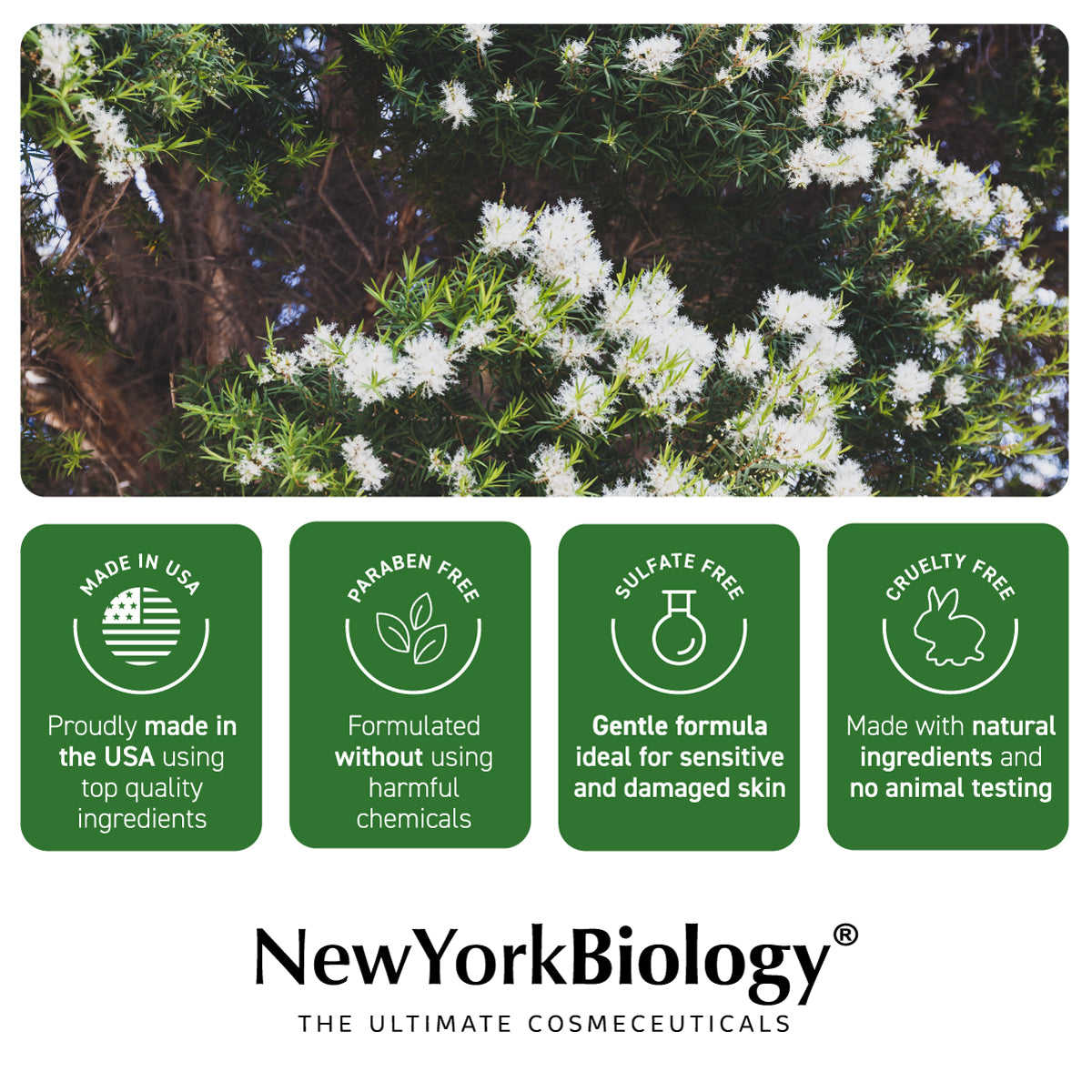 Tea Tree Body Wash 16 fl. Oz