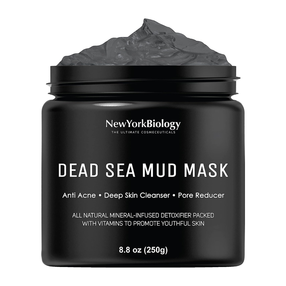 Dead Sea Mud Mask 8.8 oz