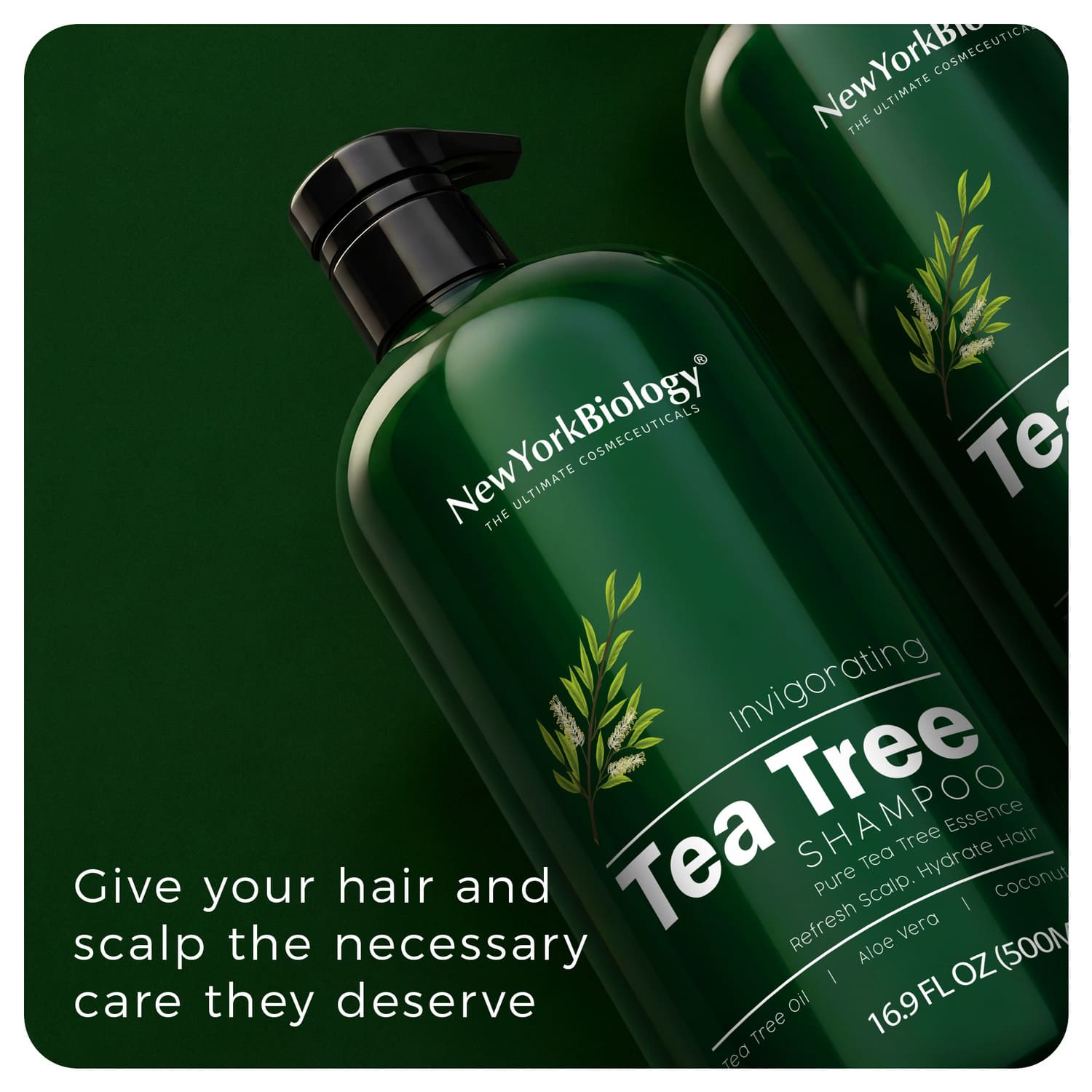 Tea Tree Shampoo Set (2 Pack)