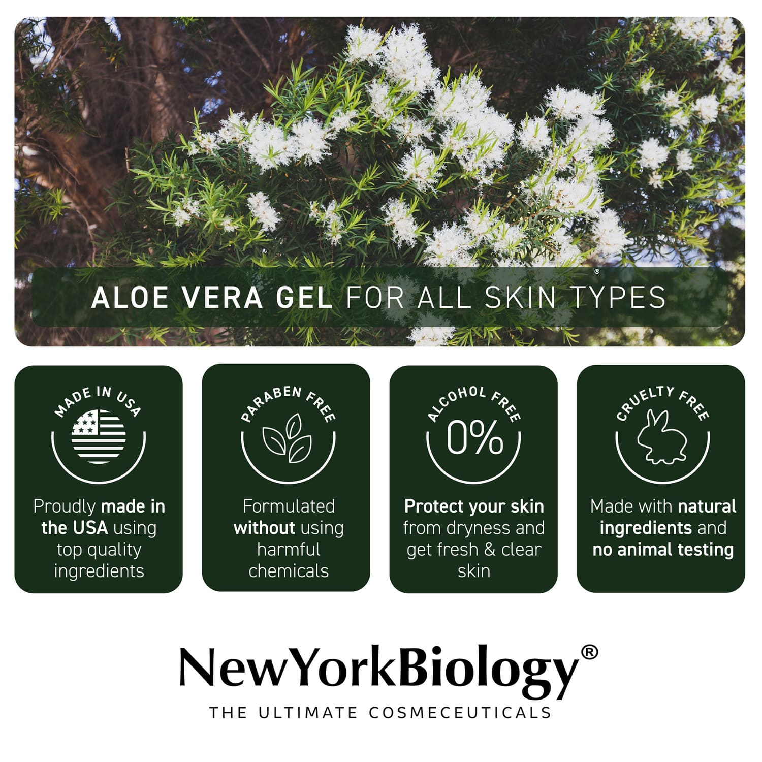 Aloe Vera Gel