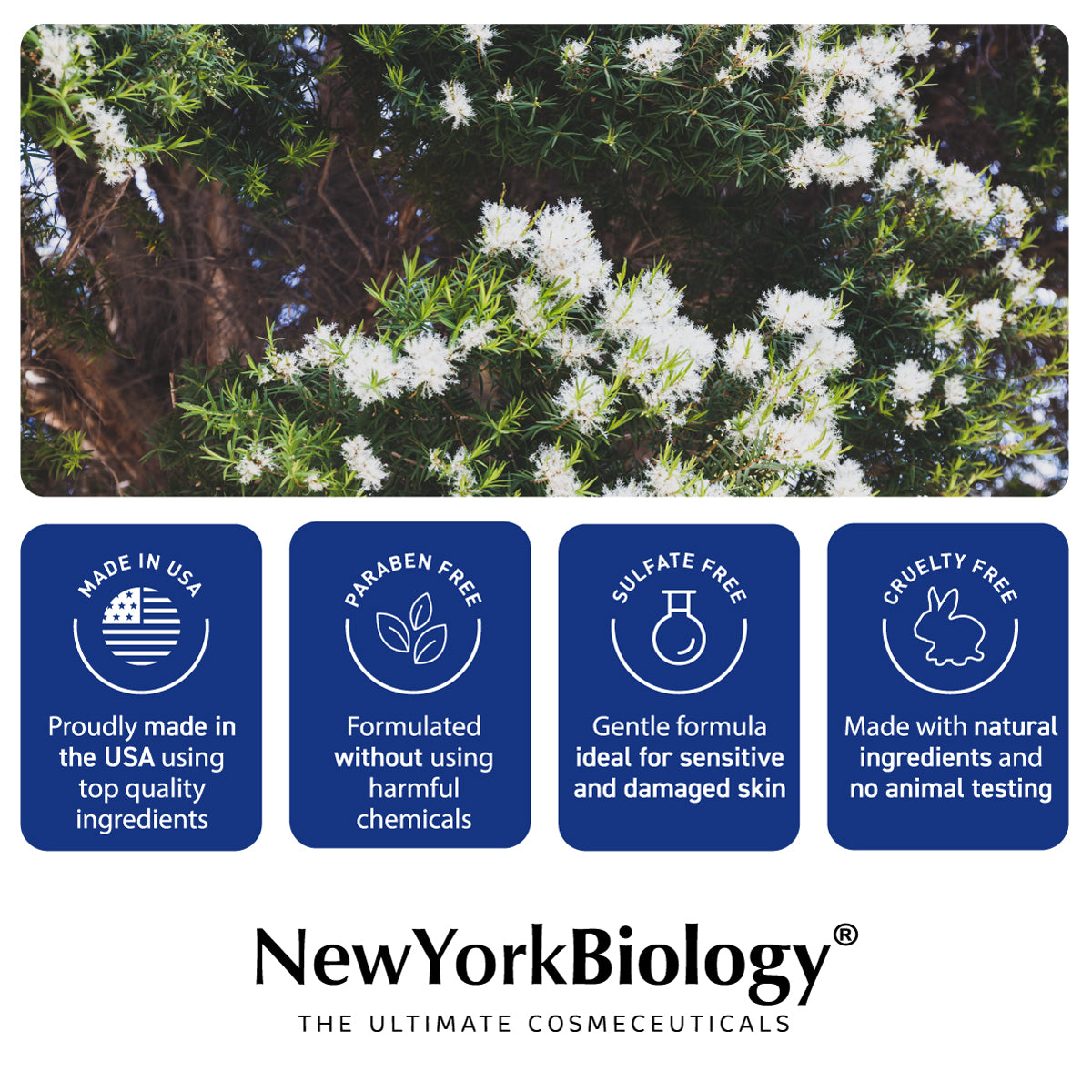 Tea Tree Mint Body Wash 16 fl. oz