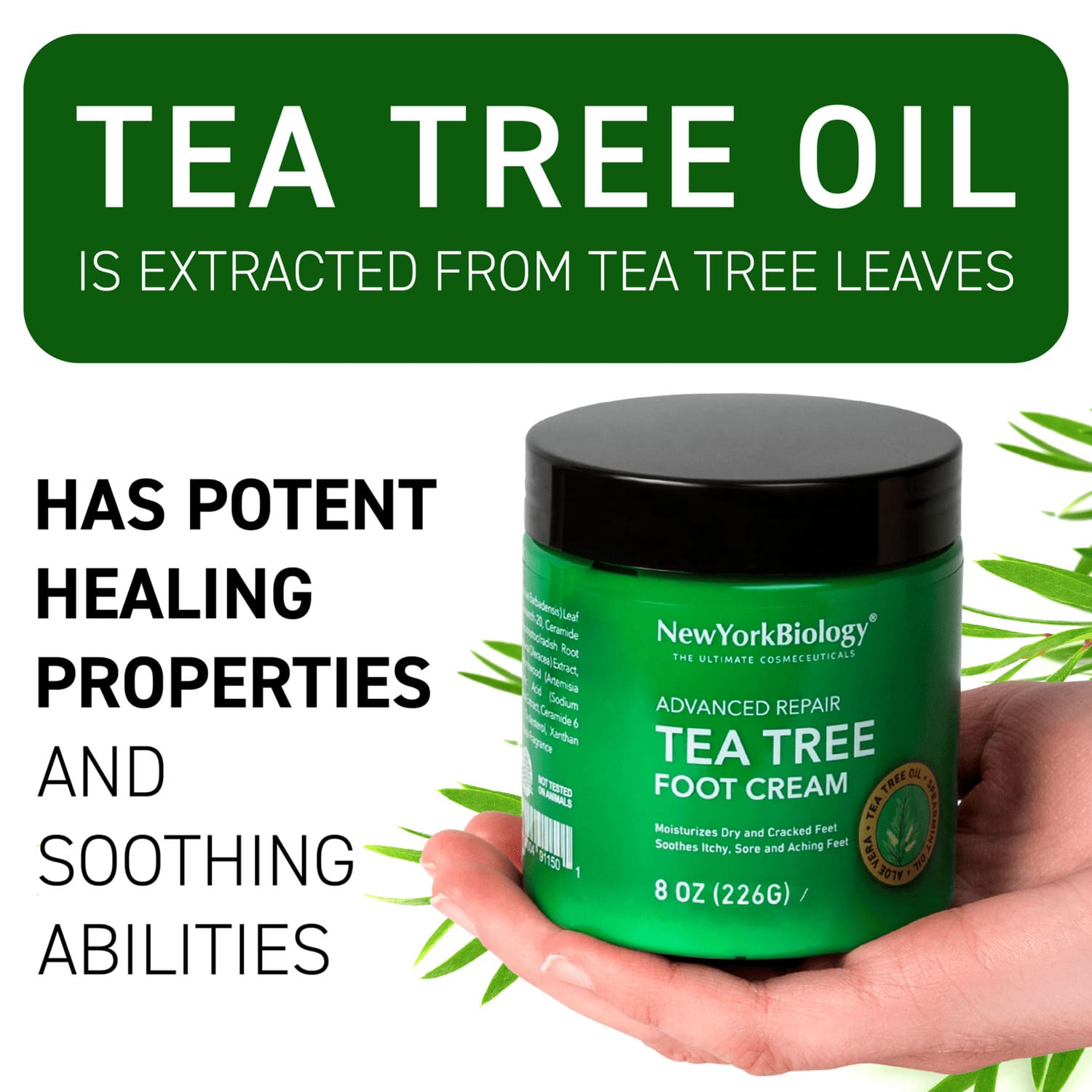 Tea Tree Foot Cream (2 Pack)