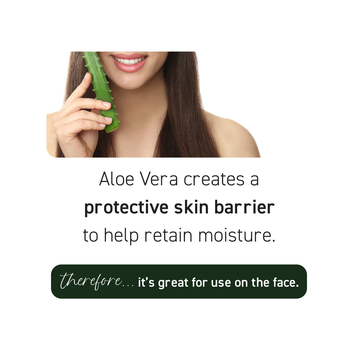 Aloe Vera Gel - Infused with Tea Tree Oil - 16 oz